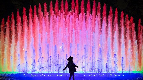 Water Shows