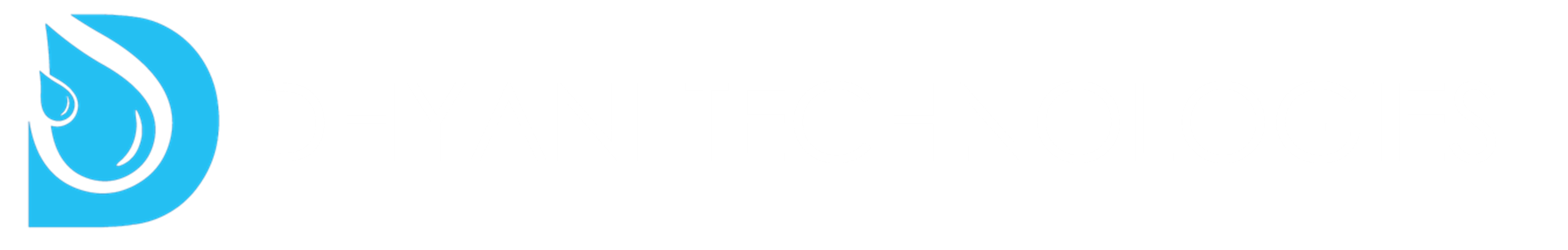 Dhyani Technologies logo representing advanced fountain control and show automation solutions