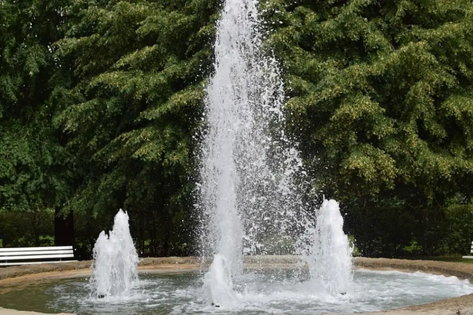 Decorative garden fountain enhancing landscape design